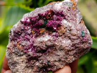 Natural Salrose Cobaltion Dolomite Specimens x 12 From Kakanda, Congo
