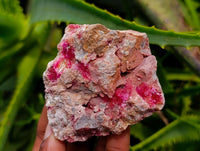Natural Salrose Cobaltion Dolomite Specimens x 12 From Kakanda, Congo