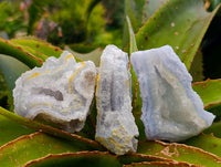 Natural Etched Blue Chalcedony Geodes x 12 From Nsanje, Malawi