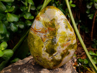 Polished Green Opal Standing Free Form x 1 From Betroka, Madagascar