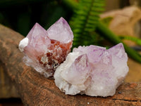 Natural Sunburst Amethyst Spirit Clusters x 20 From Boekenhouthoek, South Africa