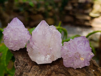 Natural Sunburst Amethyst Spirit Clusters x 20 From Boekenhouthoek, South Africa
