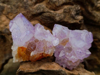 Natural Sunburst Amethyst Spirit Clusters x 20 From Boekenhouthoek, South Africa