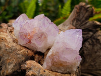 Natural Sunburst Amethyst Spirit Clusters x 20 From Boekenhouthoek, South Africa