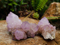 Natural Sunburst Amethyst Spirit Clusters x 20 From Boekenhouthoek, South Africa