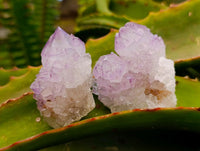 Natural Sunburst Amethyst Spirit Clusters x 20 From Boekenhouthoek, South Africa
