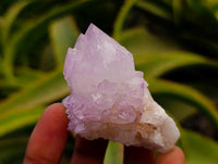 Natural Sunburst Amethyst Spirit Clusters x 20 From Boekenhouthoek, South Africa
