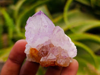 Natural Sunburst Amethyst Spirit Clusters x 20 From Boekenhouthoek, South Africa