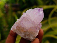 Natural Sunburst Amethyst Spirit Clusters x 20 From Boekenhouthoek, South Africa