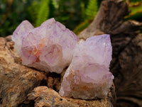 Natural Sunburst Amethyst Spirit Clusters x 20 From Boekenhouthoek, South Africa