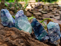 Natural Watermelon Fluorite Cobbed Specimens x 24 From Uis, Namibia