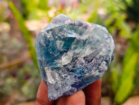 Natural Watermelon Fluorite Cobbed Specimens x 24 From Uis, Namibia
