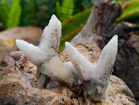 Natural Drusy Quartz Coated Spearhead Calcite Specimens x 35 From Albert's Mountain, Lesotho