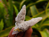 Natural Drusy Quartz Coated Spearhead Calcite Specimens x 35 From Albert's Mountain, Lesotho