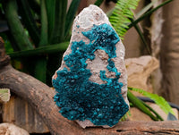 Natural Dioptase On Dolomite Specimen x 1 From Likasi, Congo