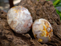 Polished Flower Agate Palm Stones x 21 From Antsahalova, Madagascar