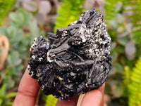 Natural Schorl Black Tourmaline with Associated Minerals x 6 From Erongo, Namibia