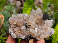Natural Schorl Black Tourmaline with Associated Minerals x 6 From Erongo, Namibia