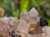 Natural Schorl Black Tourmaline with Associated Minerals x 6 From Erongo, Namibia