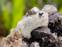 Natural Schorl Black Tourmaline with Associated Minerals x 6 From Erongo, Namibia