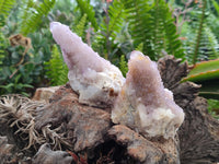 Natural Drusy Amethyst Spirit Clusters x 6 From Boekenhouthoek, South Africa