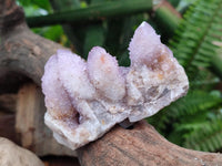 Natural Drusy Amethyst Spirit Clusters x 6 From Boekenhouthoek, South Africa