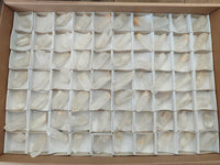 Natural Clear Quartz Crystals x 70 From Madagascar