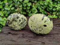 Polished Leopard Free Forms x 6 From Zimbabwe