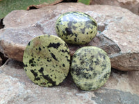 Polished Leopard Free Forms x 6 From Zimbabwe