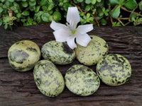 Polished Leopard Free Forms x 6 From Zimbabwe