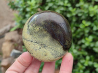 Polished Leopard Free Forms x 6 From Zimbabwe