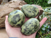 Polished Leopard Free Forms x 6 From Zimbabwe