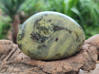 Polished Leopard Free Forms x 6 From Zimbabwe