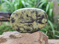 Polished Leopard Free Forms x 6 From Zimbabwe