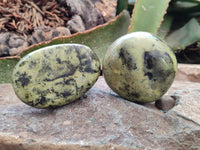 Polished Leopard Free Forms x 6 From Zimbabwe
