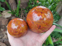 Polished Red and Yellow Flame Jasper Spheres x 2 From Madagascar