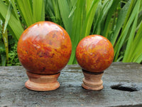 Polished Red and Yellow Flame Jasper Spheres x 2 From Madagascar