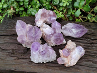 Natural Jacaranda Amethyst Crystal Clusters x 6 From Mumbwa, Zambia