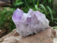 Natural Jacaranda Amethyst Crystal Clusters x 6 From Mumbwa, Zambia