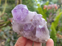 Natural Jacaranda Amethyst Crystal Clusters x 6 From Mumbwa, Zambia