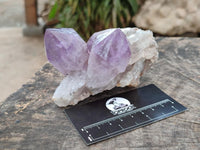 Natural Jacaranda Amethyst Crystal Clusters x 6 From Mumbwa, Zambia