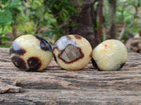 Polished Septerye Galets x 12 From Mahajanga, Madagascar