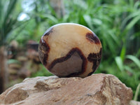 Polished Septerye Galets x 12 From Mahajanga, Madagascar