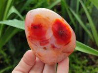 Polished Carnelian Agate Gemstone Standing Free Forms x 5 From Madagascar