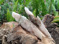 Natural Drusy Quartz Coated Spearhead Calcite Specimens x 24 From Albert's Mountain, Lesotho