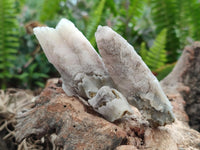 Natural Drusy Quartz Coated Spearhead Calcite Specimens x 24 From Albert's Mountain, Lesotho