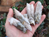 Natural Drusy Quartz Coated Spearhead Calcite Specimens x 24 From Albert's Mountain, Lesotho