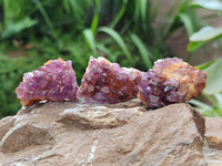 Natural Small Amethystos Amethyst Clusters x 86 From Kwaggafontein, South Africa