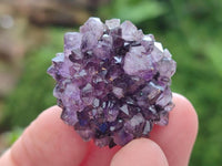 Natural Small Amethystos Amethyst Clusters x 86 From Kwaggafontein, South Africa