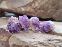 Natural Small Amethystos Amethyst Clusters x 86 From Kwaggafontein, South Africa